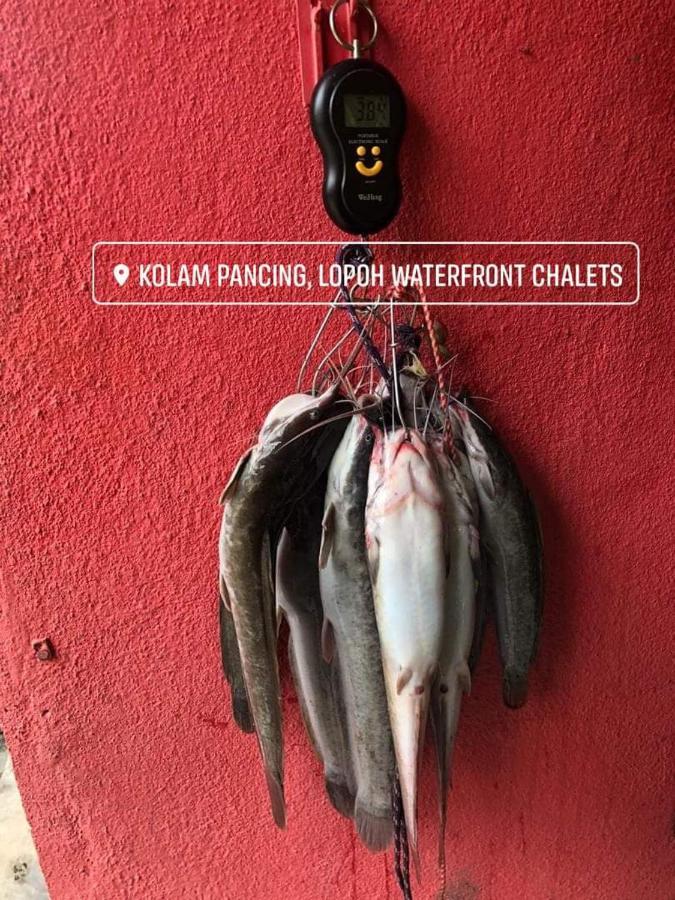 Lopoh Waterfront Budget Chalets Βίλα Hulu Langat Εξωτερικό φωτογραφία
